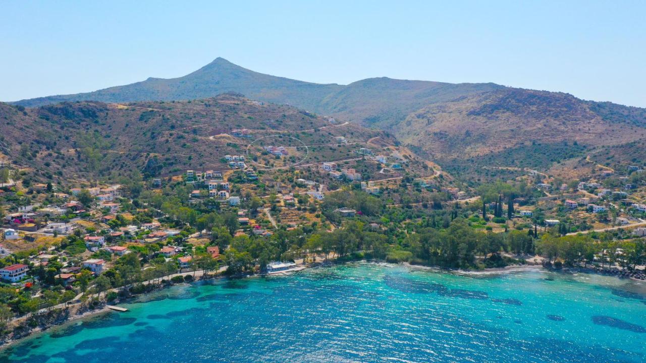 Villa Harmonia Aegina エクステリア 写真